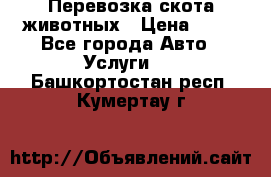 Перевозка скота животных › Цена ­ 39 - Все города Авто » Услуги   . Башкортостан респ.,Кумертау г.